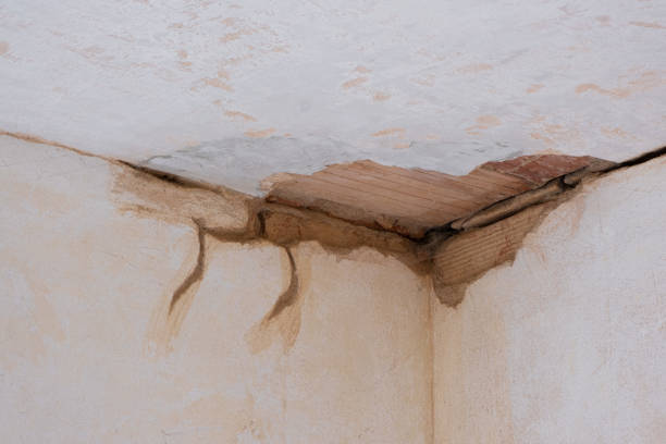 Best Sewage cleanup and water damage restoration  in Medulla, FL