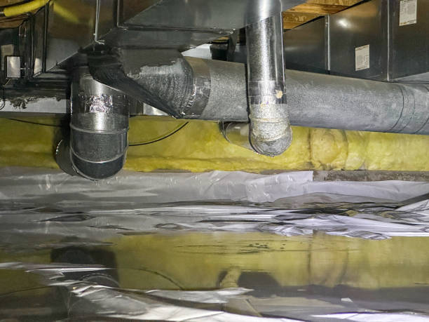 Best Carpet water damage restoration  in Medulla, FL