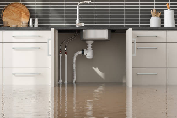 Best Flood damage cleanup  in Medulla, FL