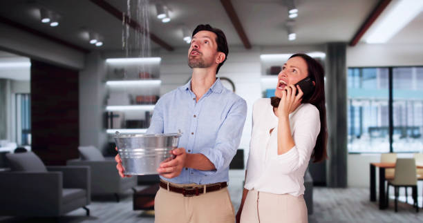 Best Flood restoration services  in Medulla, FL