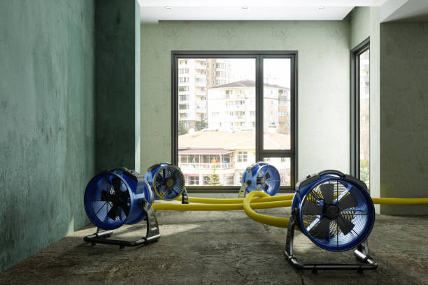 Best Water damage contractors near me  in Medulla, FL