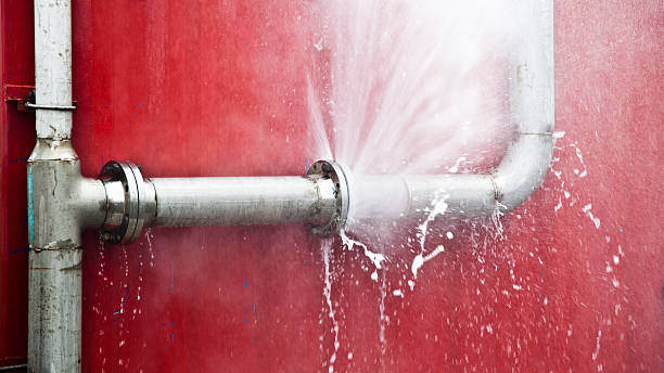 Best Flooded house restoration  in Medulla, FL
